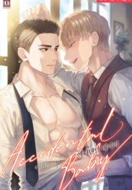 NOVEL – ACCIDENTAL BABY